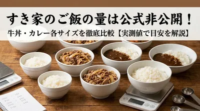 すき家のご飯の量は公式非公開！牛丼・カレー各サイズを徹底比較【実測値で目安を解説】